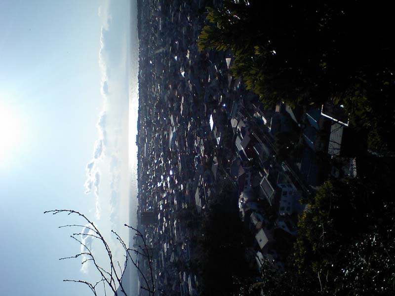 PAP_0052 (2)